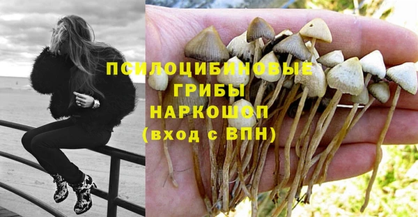 стафф Нея