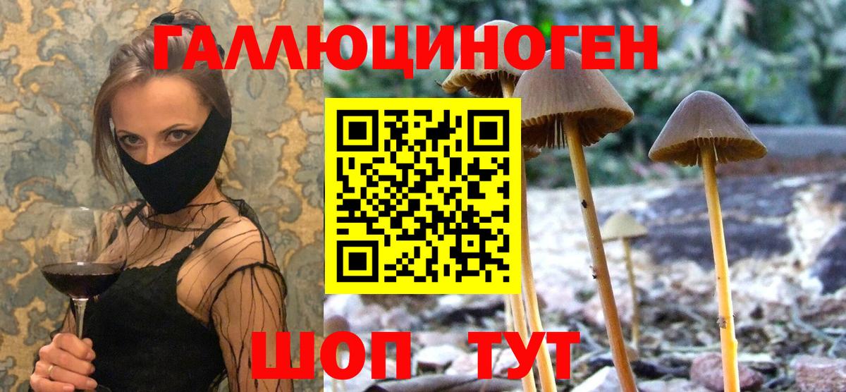 Галлюциногенные грибы MAGIC MUSHROOMS  Вход с VPN  Галлюциногенные грибы GOLDEN TEACHER  Черногорск 