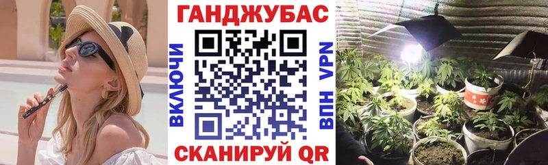 Канабис план  дарнет шоп  mega ССЫЛКА  Черногорск 